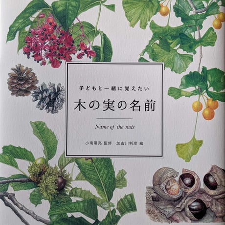 『木の実の名前』