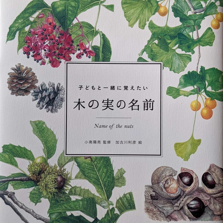 610e24f4f604a96f723a6019