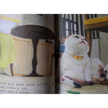 絵本『なまえのないねこ』（竹下文子文・町田尚子絵）