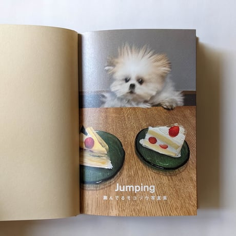 『Jumping 跳んでるモコゾウ写真集』＊缶バッジ付