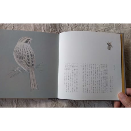 『小鳥ならば』（ユカワアツコ）