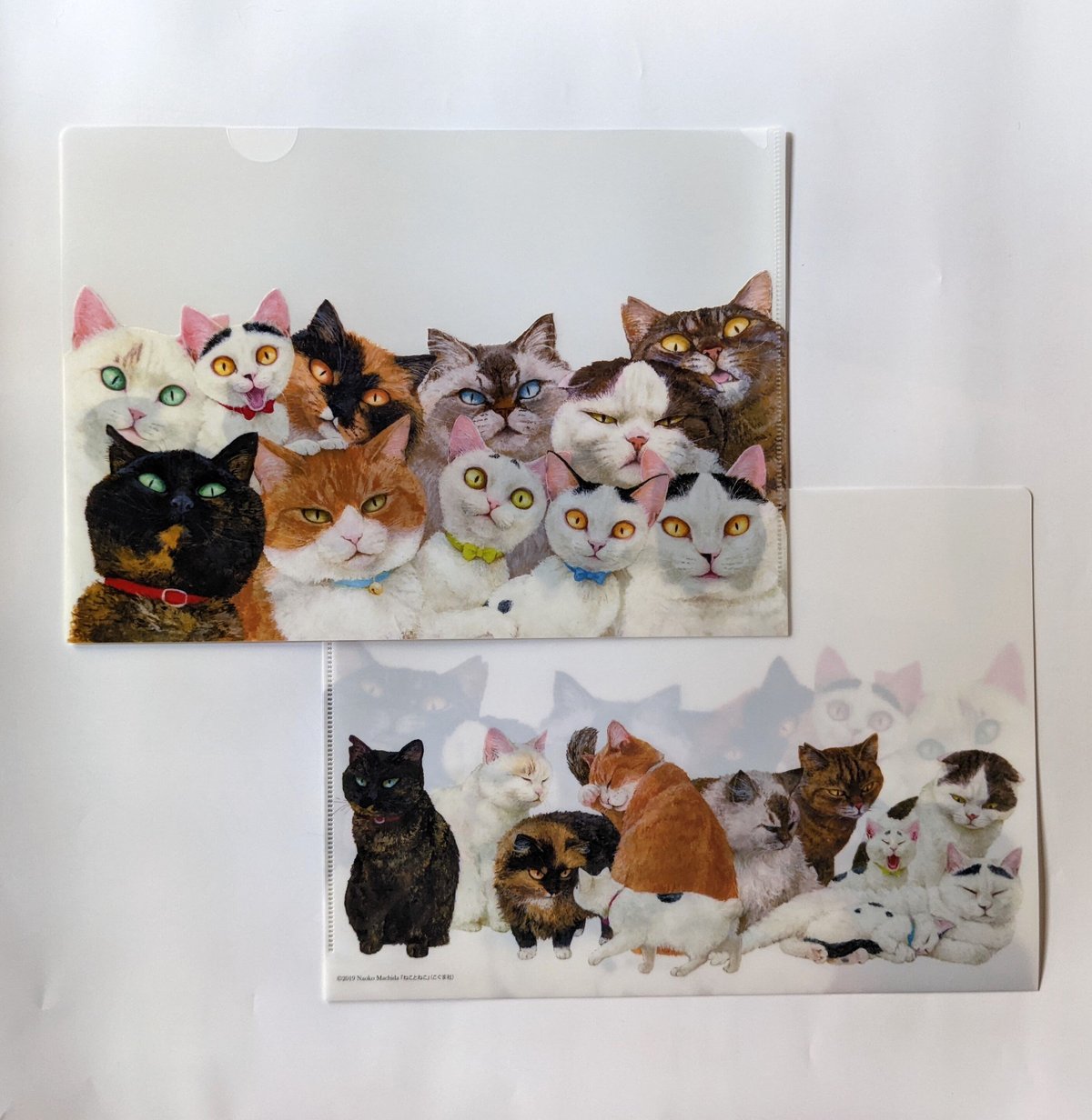 町田尚子：クリアファイル「ねことねこ」 | nowaki