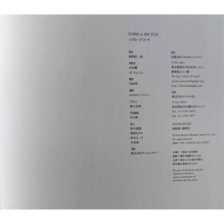 『TOPICA PICTUS』（岡﨑乾二郎）