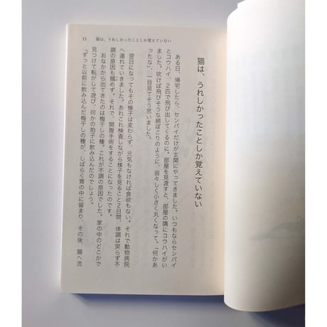文庫『猫は、うれしかったことしか 覚えていない』  （石黒由紀子文・ミロコマチコ絵）