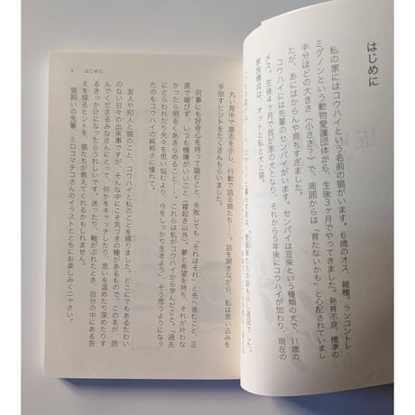 文庫『猫は、うれしかったことしか 覚えていない』  （石黒由紀子文・ミロコマチコ絵）