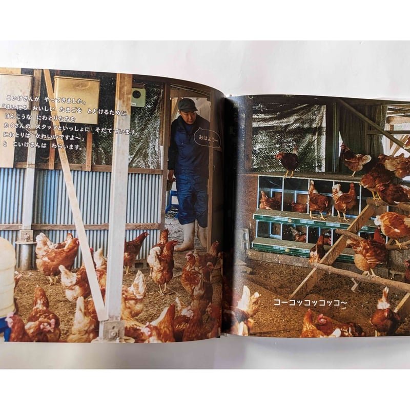 たいせつなたまご』（キッチンミノル） ＊サイン入り | nowaki