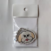 町田尚子：『ネコヅメのよる』クリアファイル | nowaki