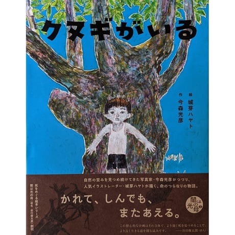 『クヌギがいる』（今森光彦作・城芽ハヤト絵）＊サインカード付