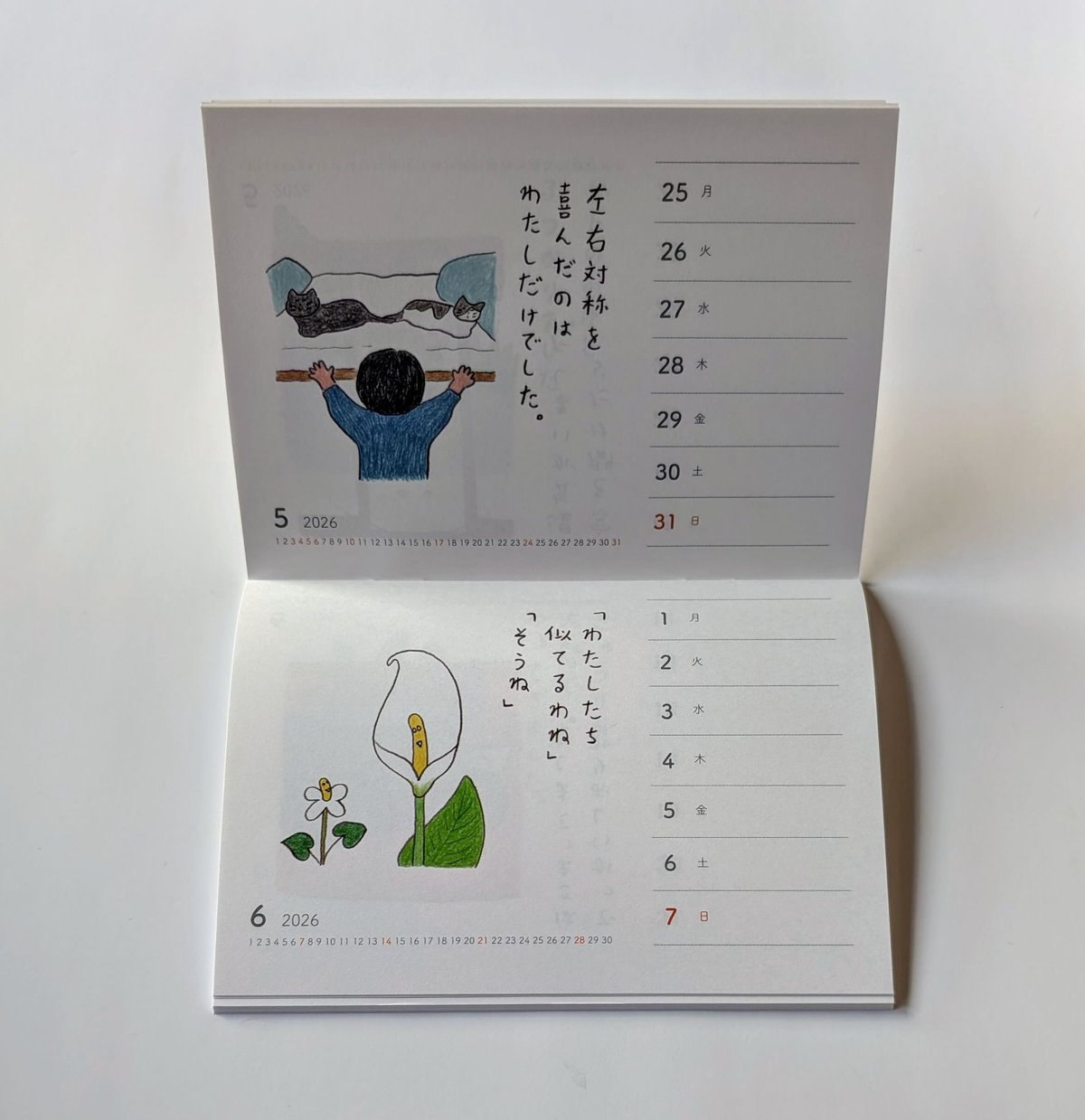 山田美津子：「みつこ絵日記」週めくりカレンダー2026 | nowaki