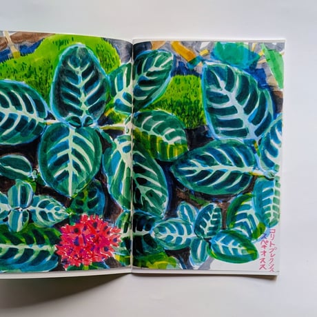 『BOTANIC 』（TAKEUMA/タケウマ）