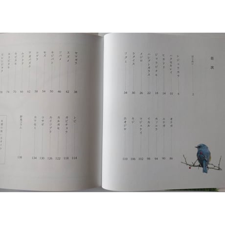 『貝殻の名前』・『野鳥の名前』