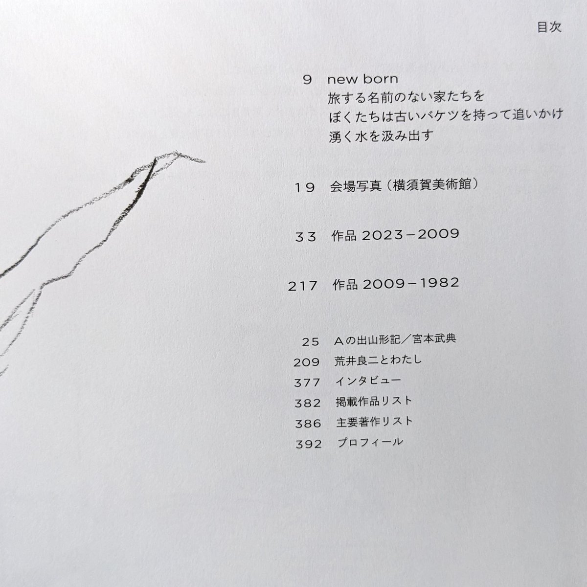 荒井良二図録：「new born」（表紙2種類） | nowaki