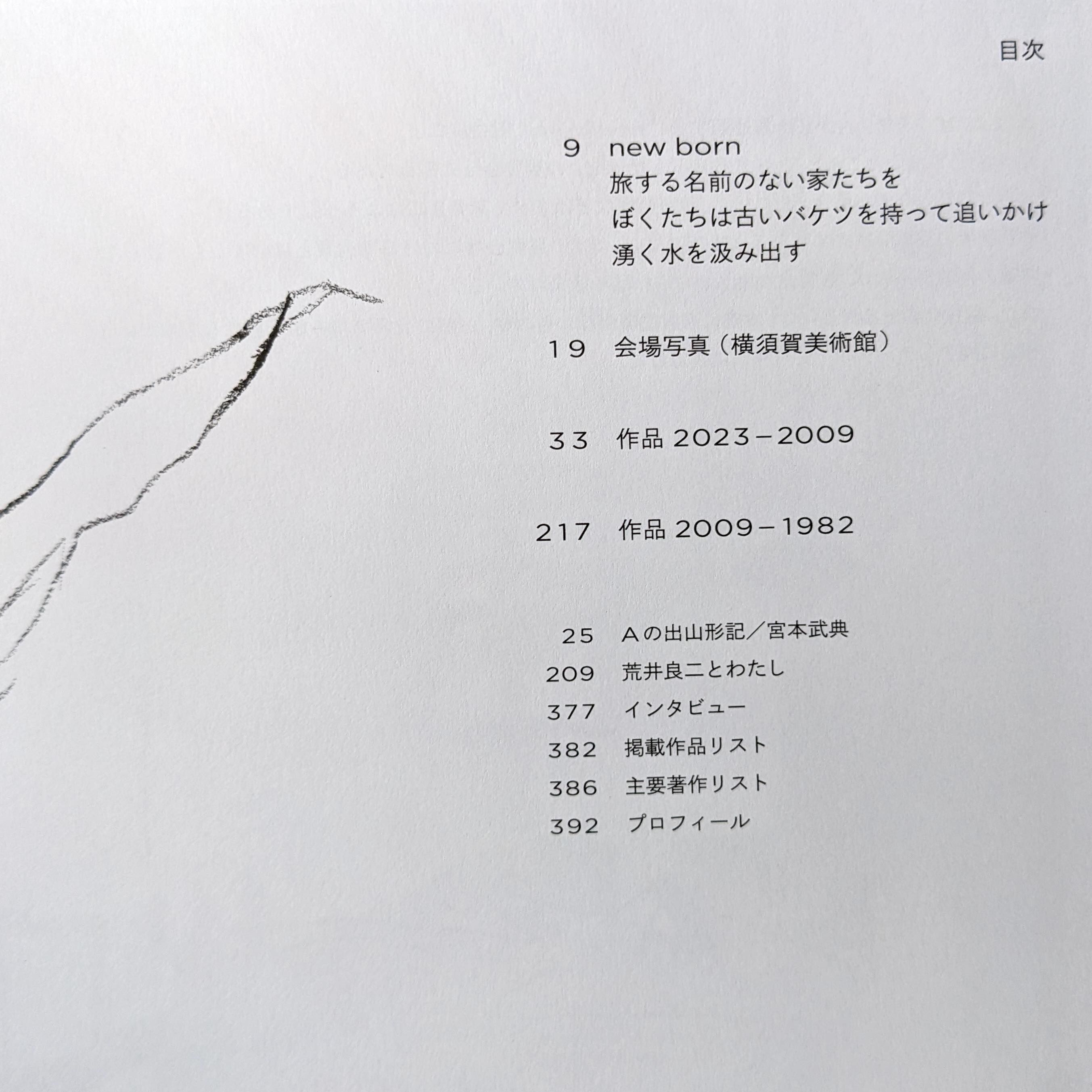 荒井良二図録：「new born」（表紙2種類） | nowaki