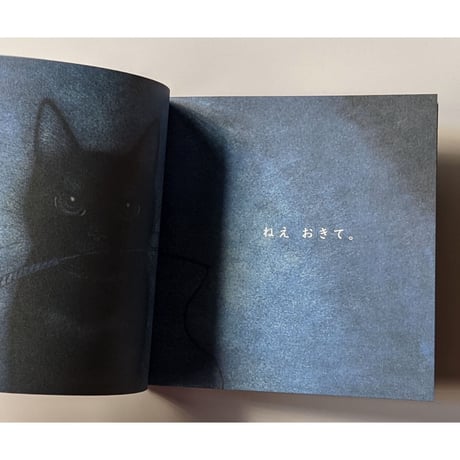『ねこのねえ』（坂本千明）＊サイン入り