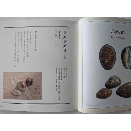 『貝殻の名前』・『野鳥の名前』
