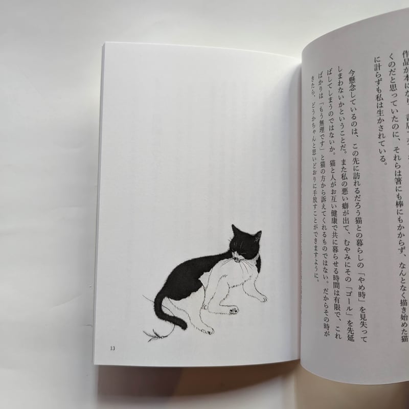 エッセイ『思いどおりにいかない』（坂本千明）＊サイン入り | nowaki