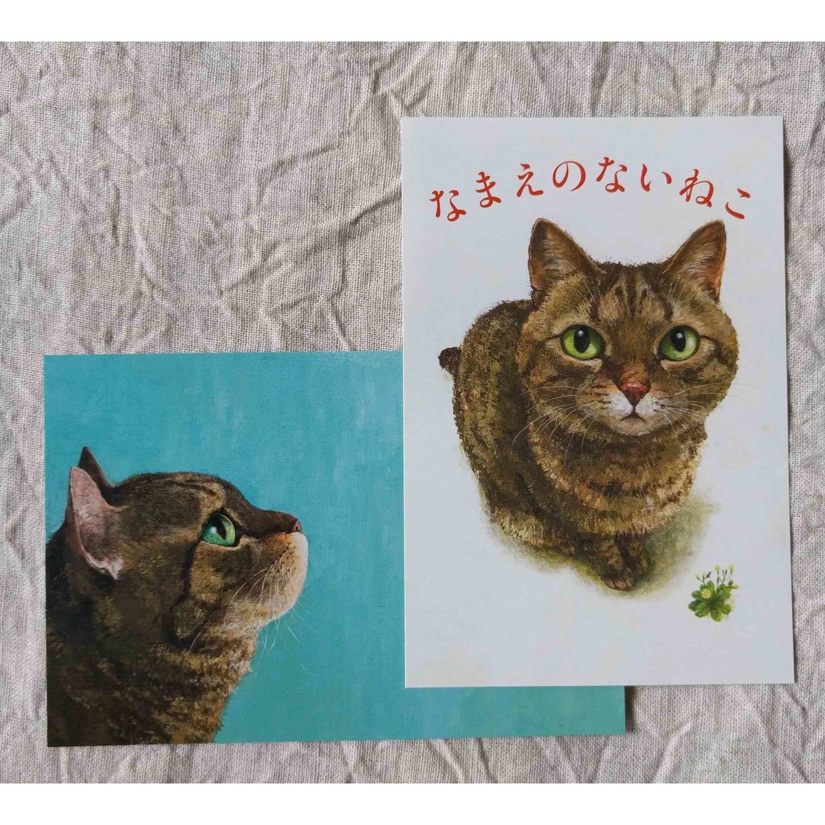 なまえのないねこページ なまえのないねこ - 子どもの本の小峰書店