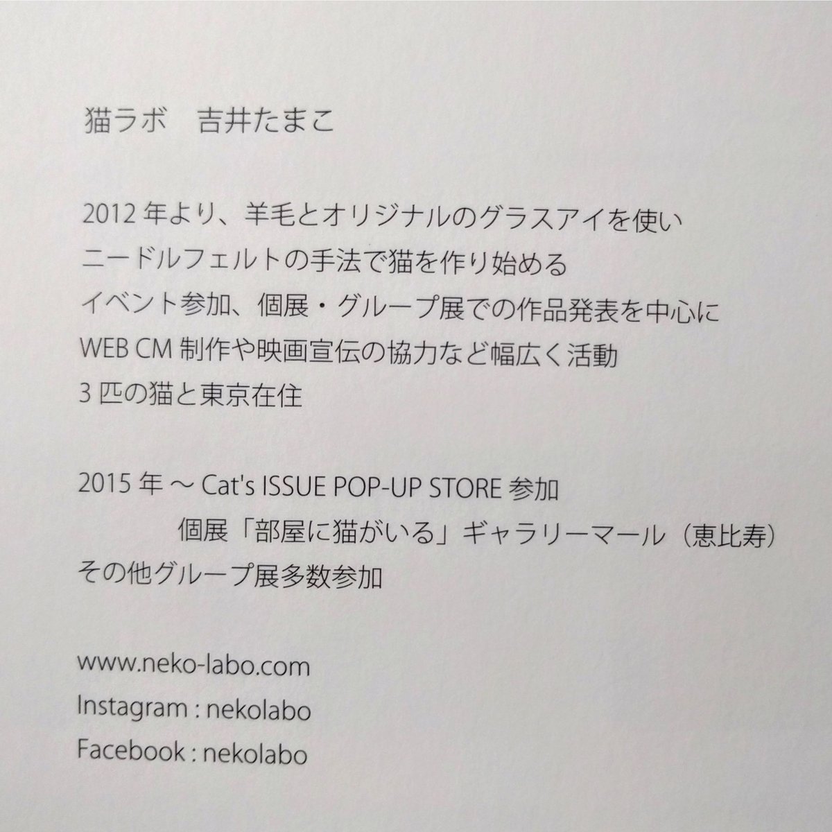 FELT CATS』Nekolabo Works （猫ラボ） | nowaki