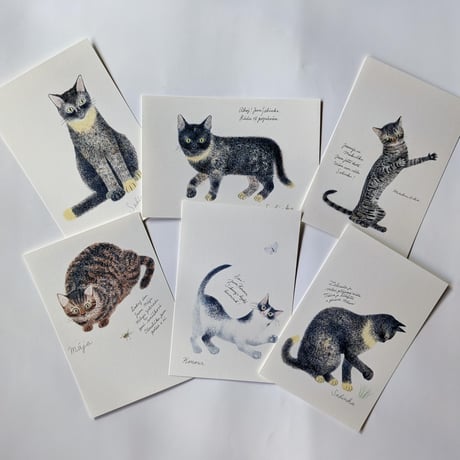 出久根育ポストカード：「チェコの猫の12ヵ月」