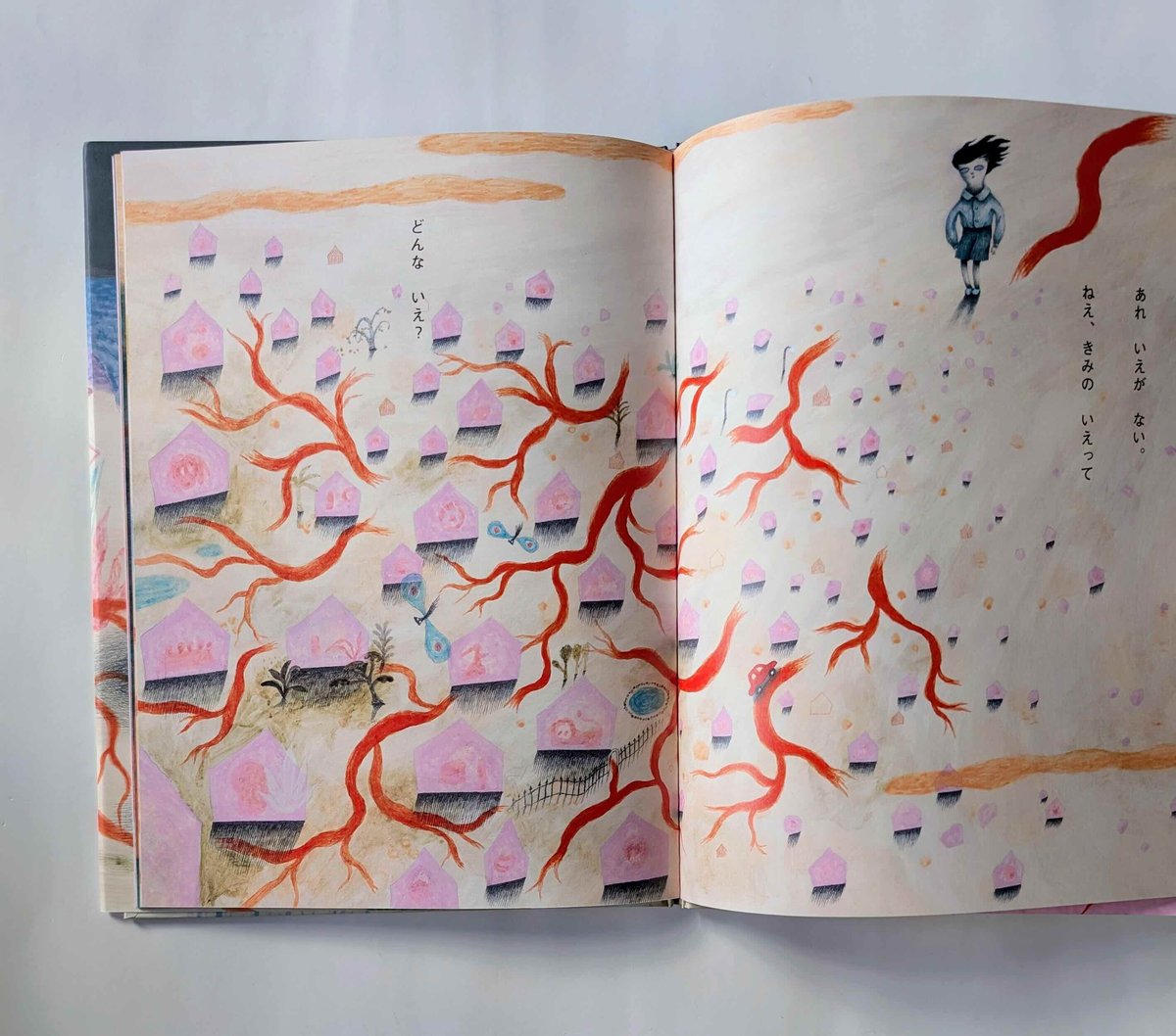 絵本『どんないえ？』（藤野可織作/さかたきよこ絵）＊サイン入り | nowaki