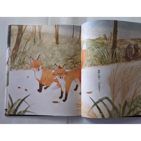 えほん遠野物語『きつね』（柳田国男原作・京極夏彦文・樋口佳絵絵）