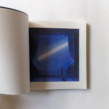 『THE STAR CATCHER』（嶽まいこ）