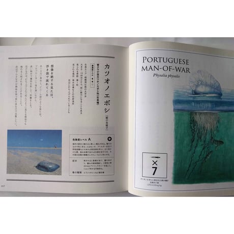 『道草の名前』・『毒生物の名前』