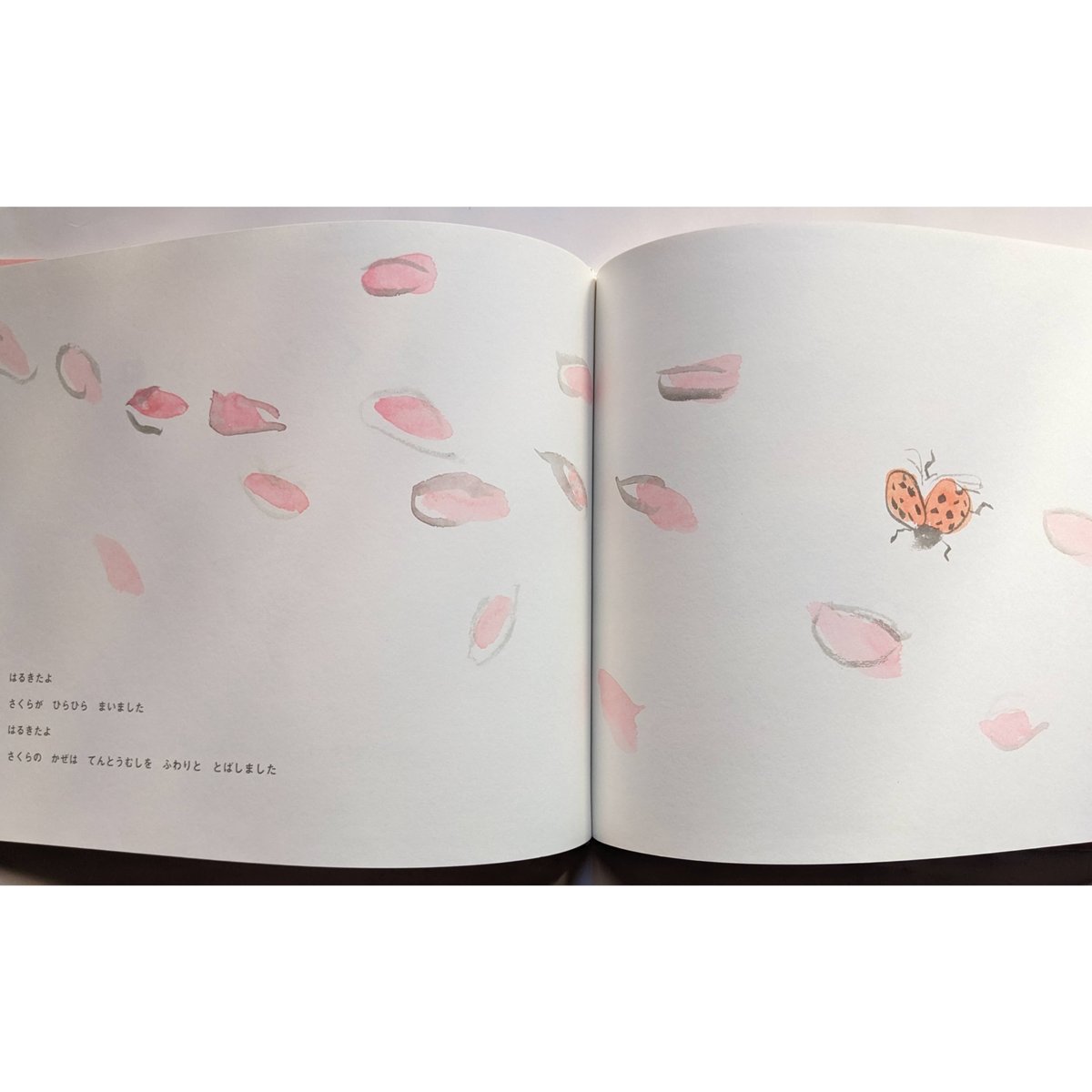 Cocco サイン入り絵本 ラバスト まとめ売り 特典付サイン本】白泉社