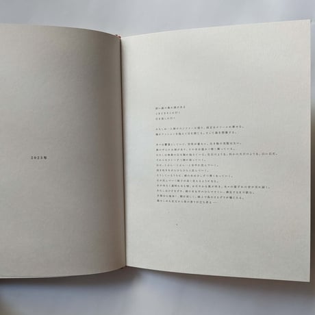 杉本さなえ画集『石を放す』