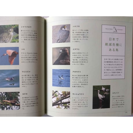 『貝殻の名前』・『野鳥の名前』