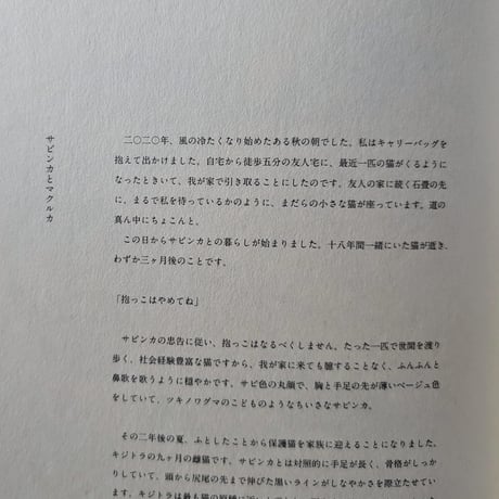 出久根育画集『SABINKA A MAKULKA』