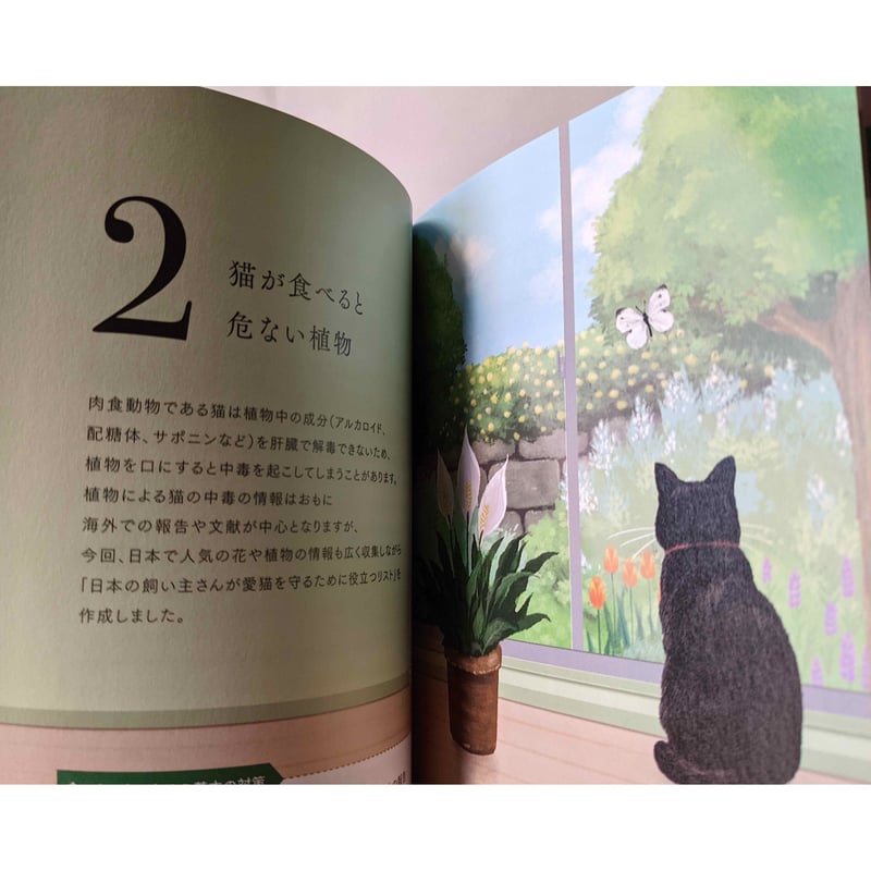 猫が食べると危ない食品・植物・家の中の物図鑑』 | nowaki