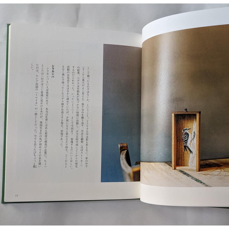 草木鳥鳥文様』（梨木香歩文・ユカワアツコ絵・長島有里枝写真