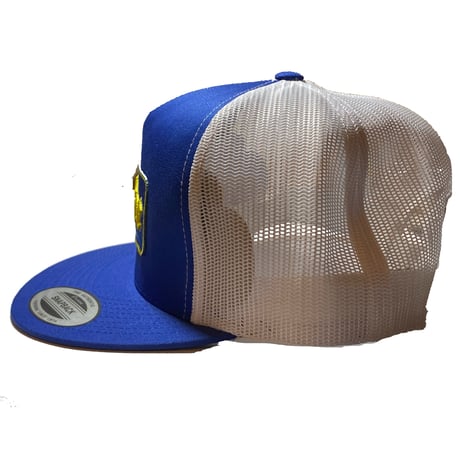 HARDEE 2TONE MESH CAP BLUE/WHITE