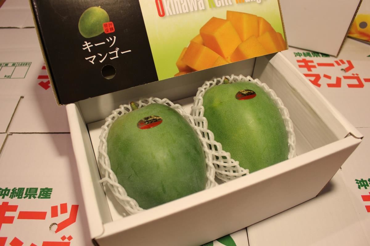 贈答用】『マンゴーの丘』キーツマンゴー《秀品》（2Kg） | マンゴー