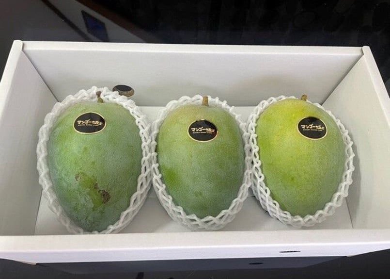 24. マンゴー約2kg ミニマンゴー2kg 家庭用 傷黒点あり