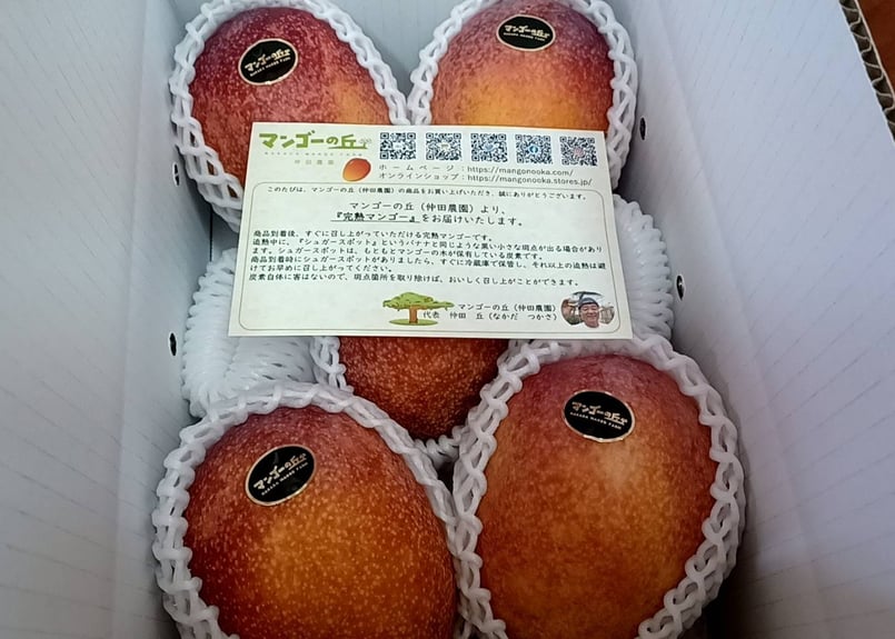 家庭用】『マンゴーの丘』完熟マンゴー《ファミリー》(2Kg 家庭用】『マンゴーの丘』完熟マンゴー《ファミリー》(2Kg