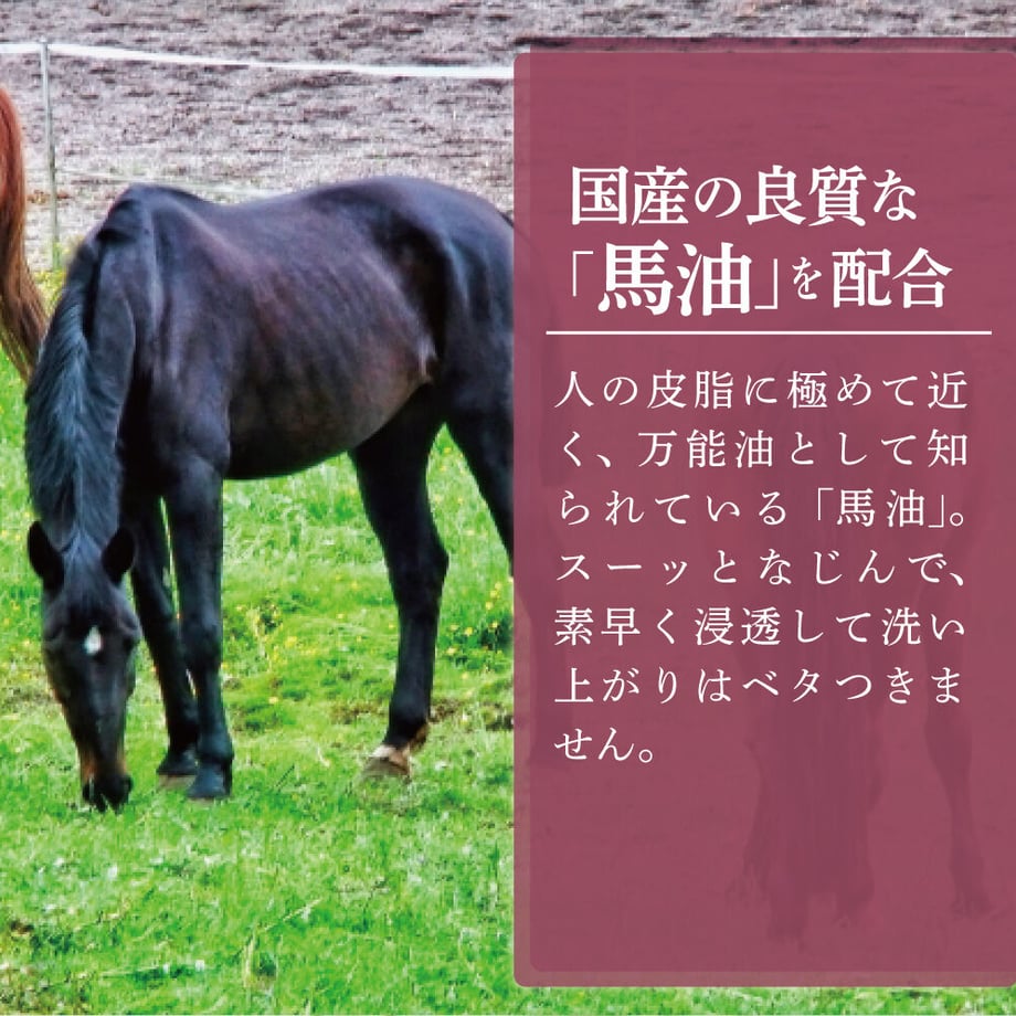 648bbba35015b2002b14f419