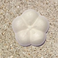 最中皮・梅・白　(１４枚入り)