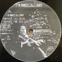 Musicology (Album Sampler)  / Prince [Used / 12]