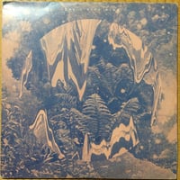 Hive Mind / Ital [Used / LP]