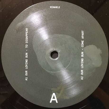 To Disappear / Our Loving Sun [Used / 12]