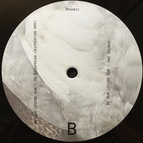 To Disappear / Our Loving Sun [Used / 12]