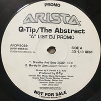 The Abstract ("A" List DJ Promo) / Q-Tip [Used /12]
