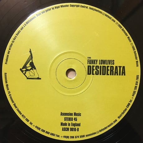 Latin Night / The Funky Lowlives [Used / 12]