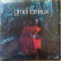 Get Up / Amel Larrieux [Used / 12]