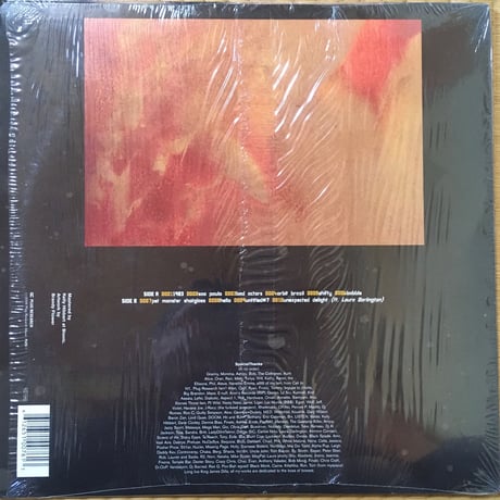 1983 / Flying Lotus [Used / LP]