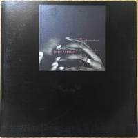 Goin' Downstairs Part.1 / Theo Parrish [Used /12]