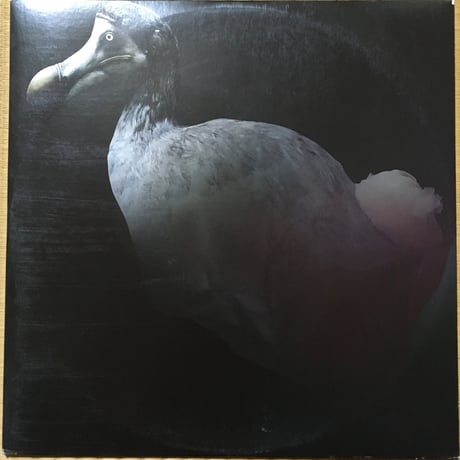To Disappear / Our Loving Sun [Used / 12]