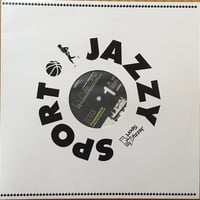 Suntoucher Remixes Vol 2 / DJ Nature [Used / 12]
